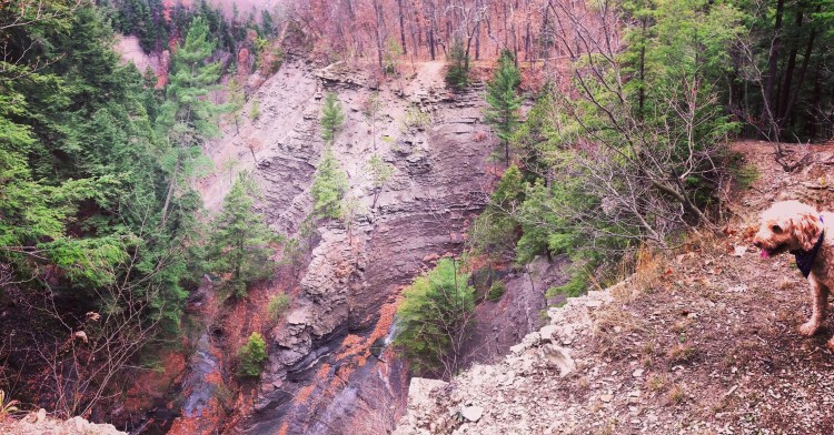 A section of trail overlooking Conklin Gully.