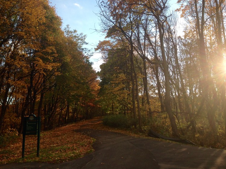 A sunny fall day on the Genesee Riverway Trail.